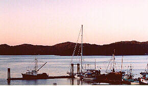 Port Hardy twilight